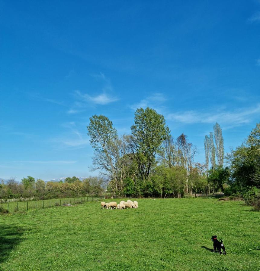 Wolf & Sheep Nature & Adventure Podgorica Ngoại thất bức ảnh