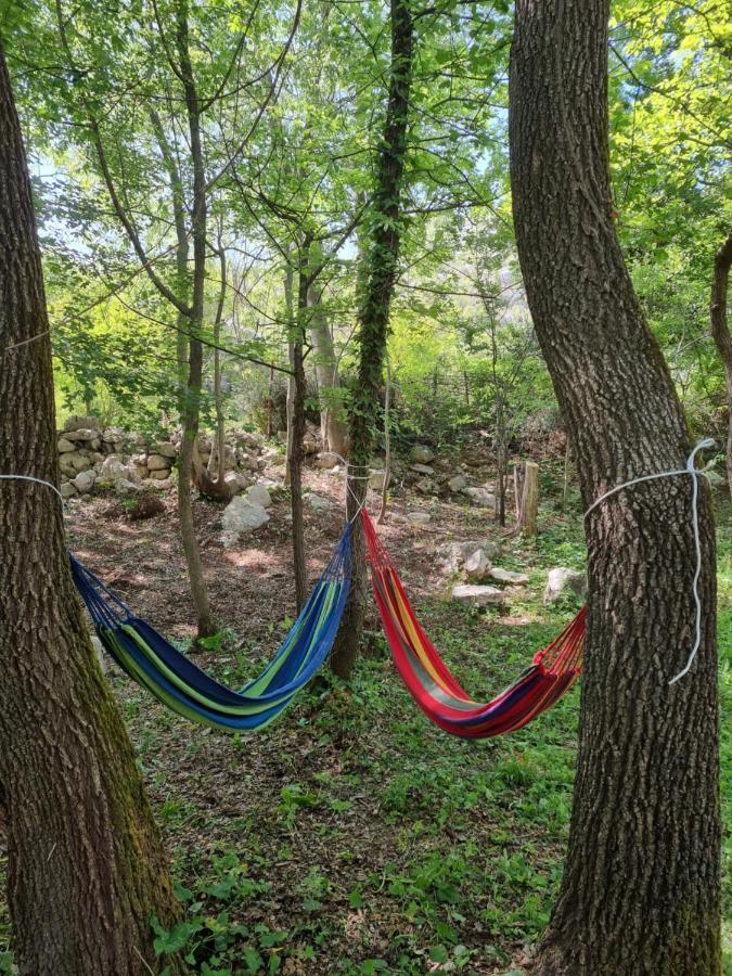 Wolf & Sheep Nature & Adventure Podgorica Ngoại thất bức ảnh