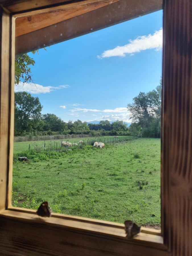 Wolf & Sheep Nature & Adventure Podgorica Ngoại thất bức ảnh