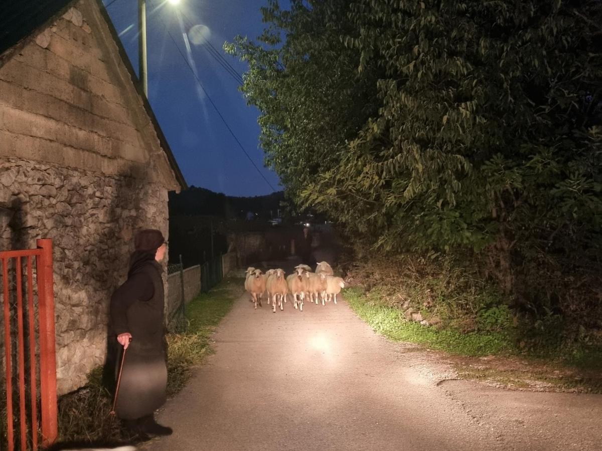 Wolf & Sheep Nature & Adventure Podgorica Ngoại thất bức ảnh