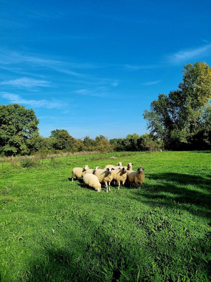 Wolf & Sheep Nature & Adventure Podgorica Ngoại thất bức ảnh