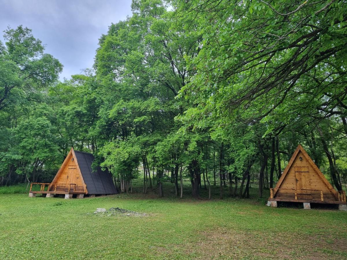 Wolf & Sheep Nature & Adventure Podgorica Ngoại thất bức ảnh